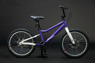 Велосипед TT231/ 1ск 20" фиолетовый рама 12"