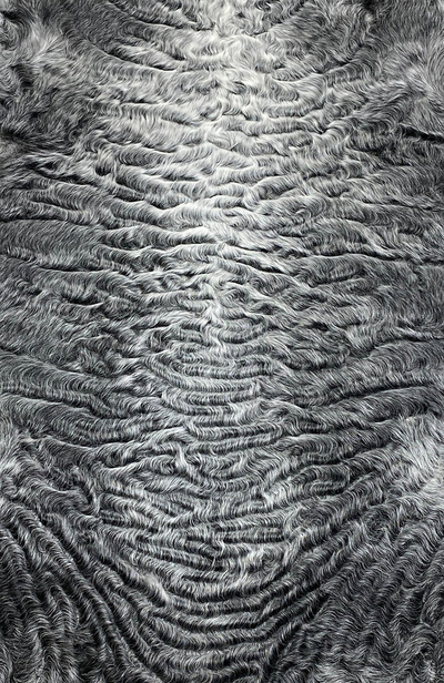 Каракуль Серый Отборный