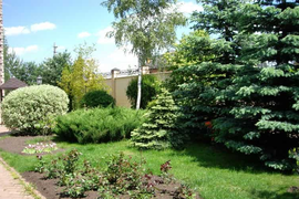 Комплексное обслуживание участка