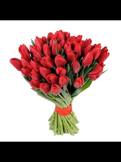 45 красных тюльпанов