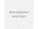 Сивоглазов Биология 11кл. Базовый и углубленный уровни. Рабочая тетрадь (Дрофа)