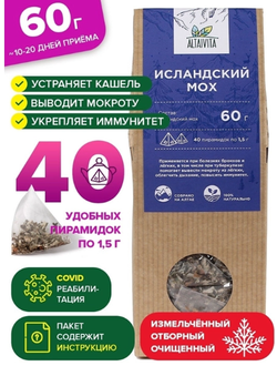 Исландский мох в пирамидках