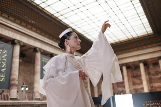 Образ Принцесса лебедь