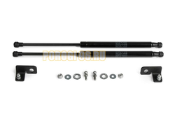 Амортизаторы капота, 2 шт. Rival для Nissan TIIDA I / I рестайлинг 2004-2012 / 2010-2014