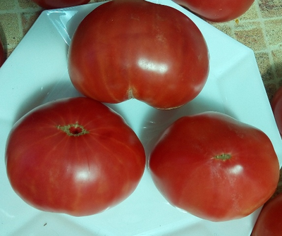 Томат Роза Техаса