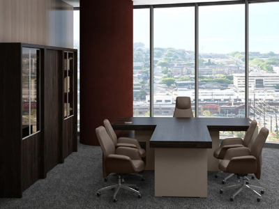 Кабинет руководителя ERA