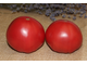 ROSE TOMATO (Розовый томат)