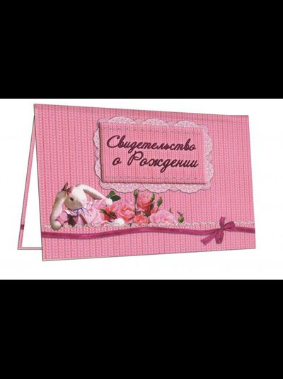 Папка &quot;Свидетельство о рождении&quot;, МИКС (старый формат)