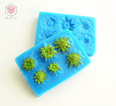 "Чашелистики земляники" вайнер и каттер