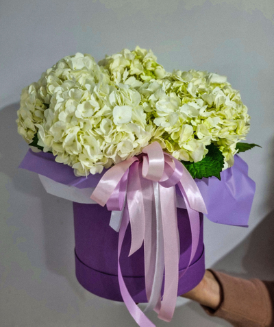 Композиция