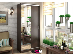 Шкаф-купе АЛЬЯНС 1,0м Венге/Венге