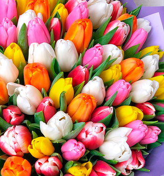 Букет тюльпанов микс (конструктор)