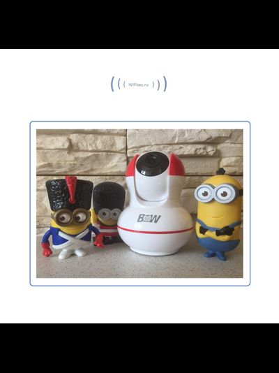 BW. Видеоняня /WiFi-LAN видеокамера моторизированная с DVR , HD (163Eye/Yoosee)