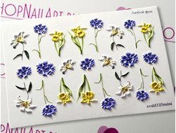 3D Слайдер-дизайн - 125 - Синие, желтые, белые цветы