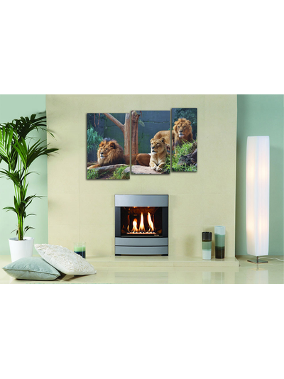 Модульная картина "Внимательные взгляды"