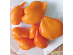 Томат Сокровище (Akmore Treasure)