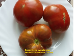 Томат Гном Смех Кукабарры (Dwarf Kookaburra Cackle)