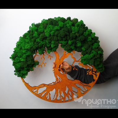 Живая Эко-Картина 1072