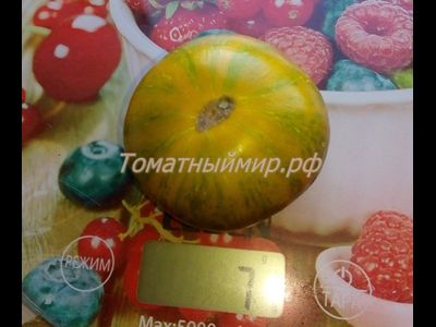 Томат гном Полосатый Джереми (Dwarf Jeremy’s Stripes), США