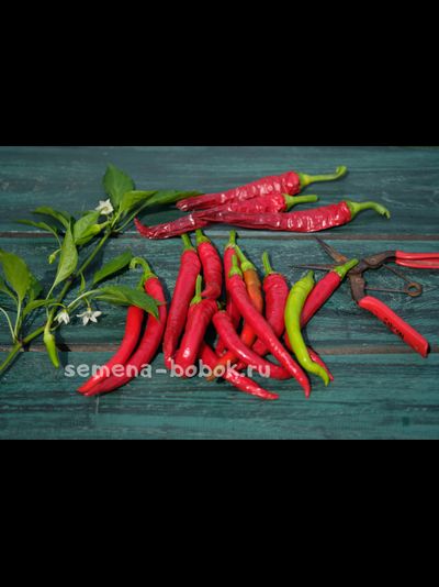 Перец острый Longhorn, 10 шт