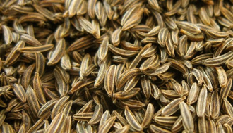 Тмин обыкновенный (Carum carvi) семена, 5 мл - 100% натуральное эфирное масло