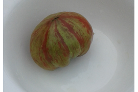 Грааль, томат Гном