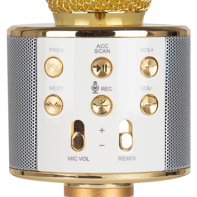 Караоке-микрофон WSTER WS-858 оригинальный