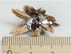 Редкость! Рутил свободного роста, сростки "звезды" золотистых игольчатых кристаллов на кристаллах гематита, Бразилия (24*17*15 мм, 1,4 г) №37918