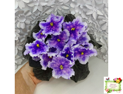 Dn-Огни Бродвея (Д. Денисенко) 2020 г.