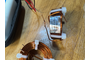 IMG_1264.jpeg
