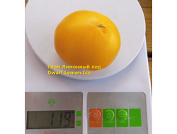 Томат гном Лимонный лед (Dwarf Lemon Ice, дварф Лемон айс) США
