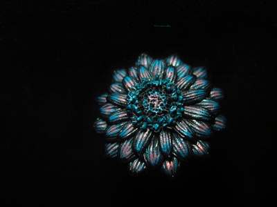 "Теплоцвет Стынь-травы", нарядное кольцо авторской работы