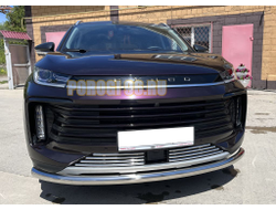 Защита переднего бампера d60 для Exeed TXL (2021-...)