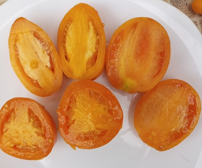 Томат Золотое сердце