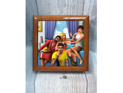 Шкатулки The Sims, Симс