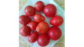 Крымская роза