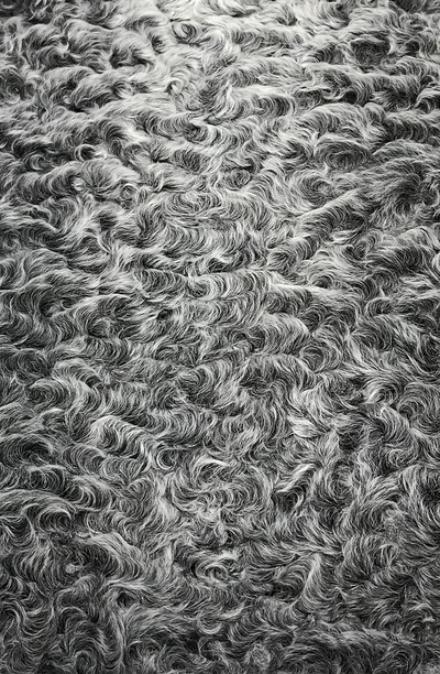 Каракуль Серый