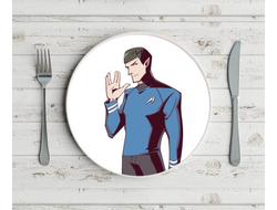 Тарелка Star Trek, Стартрек №4