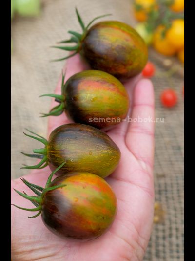 Томат Atomic Fusion (Атомный Сплав), 10 шт