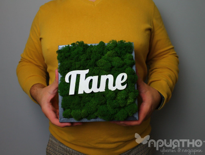 ЖИВАЯ ЭКО-КАРТИНА 1003