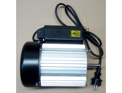 elektrodvigatel-lsh5001