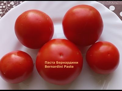 Томат Паста Бернардини (Pasta Bernardini)