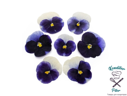 Виола обезвоженная Magic blue - Волшебный синий (плоская), 5 шт