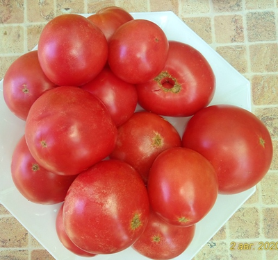 Томат Демидов