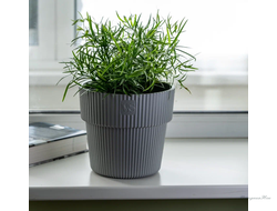 Горшок с дренажной системой Алемар VipSet 2,4л серый