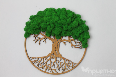 Живая Эко-Картина 1067