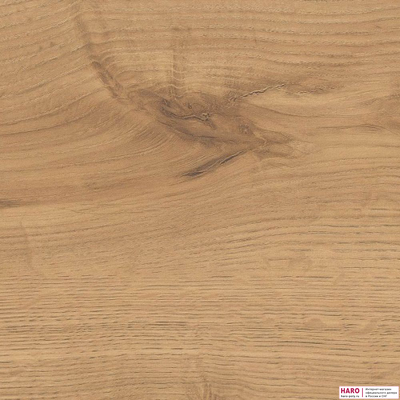 Декор ламината Haro Tritty 100 Campus Дуб Альпийский натур 532063 структура
