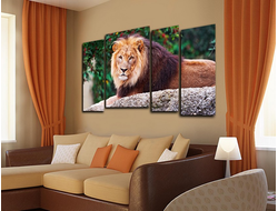 Модульная картина "Отдых царя зверей"