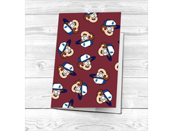 Картхолдер Диппер, Dipper №11