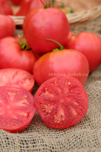 Томат Минусинский Низкий, 10 шт